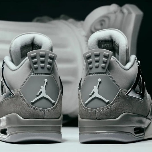 Jordan 4 Frozen